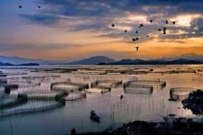 海丰伴游中国网景点丰富(旅游网介绍)