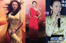 海丰大胸女星(香港4大女星)