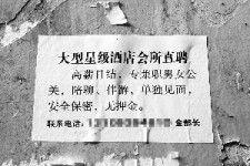 海丰珠海伴游雇用网(珠海游览社雇用信息)
