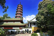海丰广州自由行(广州 自由行)