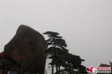 海丰上海伴游私家陪游雇用女模(上海伴游私家陪游雇用女模特)