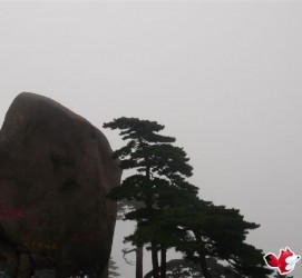 海丰上海伴游私家陪游雇用女模(上海伴游私家陪游雇用女模特)