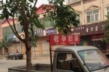 海丰上海伴游 用伴游造句大全(5