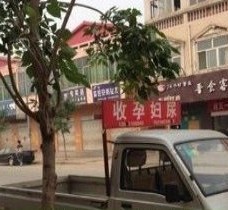 海丰上海伴游 用伴游造句大全(5