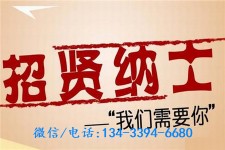 海丰酒店雇用伴游(酒店雇用伴游办事员)
