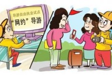 海丰伴游是什么