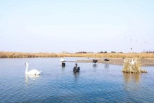 海丰南昌附近伴游小妹兼职(1534939978姐的微信德惠市)