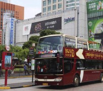 海丰上海私人伴游 上海过年怎么玩？这些“微游”线路了解下→