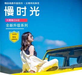 海丰大理伴游网雇用(大理聪慧旅游开展有限公司雇用)