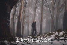 海丰上海私人伴游 上海伴游，上海兼职伴游安全吗