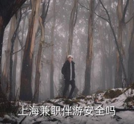 海丰上海私人伴游 上海伴游，上海兼职伴游安全吗