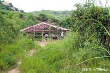 海丰北海伴游兼职雇用信息(北海伴游兼职雇用信息大全)