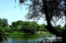 海丰西湖旅游攻略(上海到杭州西湖旅游攻略)