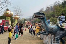海丰中国伴游带你打卡网红南山竹海(南山竹海网上预约)