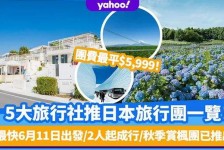 海丰旅游价格(旅游价格机制)