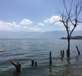 海丰洱海旅游攻略(洱海旅游攻略自由行)