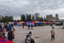 海丰通辽伴游雇用(哈尔滨伴游雇用)