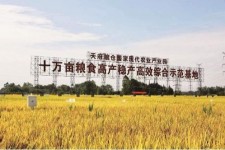 海丰关于成都商务伴游外围雇用的信息