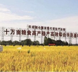 海丰关于成都商务伴游外围雇用的信息