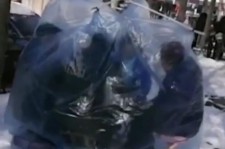 海丰东北大爷带老伴游中国(东北大爷带老伴游中国旅行)