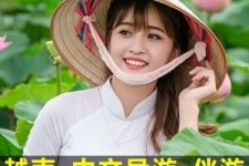海丰日本关东伴游中国(日本关西旅行)