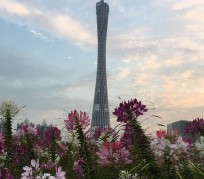 海丰广州旅游攻略(杭州到广州旅游攻略)