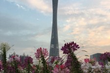 海丰广州旅游攻略(杭州到广州旅游攻略)