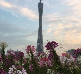 海丰广州旅游攻略(杭州到广州旅游攻略)
