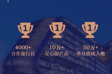 海丰上海私人伴游 ​ “小而美”的新时代：2020年国内新跟团消费报告