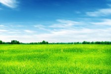 海丰上海伴游 上海模特伴游微信号的交友宣言
