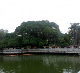 海丰福州旅游攻略(福州旅游攻略二日游)