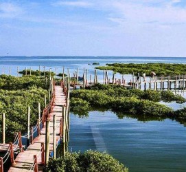 海丰旅游哪里好玩(云南旅游哪里好玩)