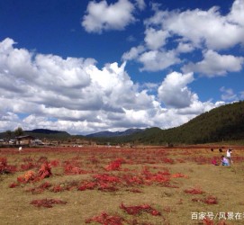 海丰旅游去处(暑期最好的旅游去处)