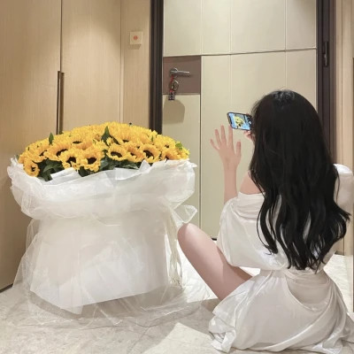 海丰商务伴游带客户畅游北京故宫,感受千年文化